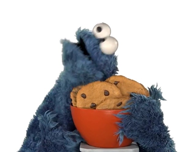 cookie monster up.jpg