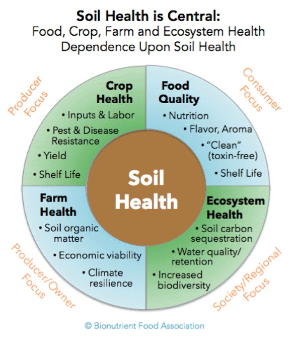 Diagram of Soil Health and how the health of our foods, farms, and ecosystems depend upon the health of our soils.